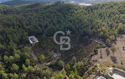 CB ARDENDEN ANTALYA KAŞ ORTABAĞDA 19.188 M2 SATILIK TARLA