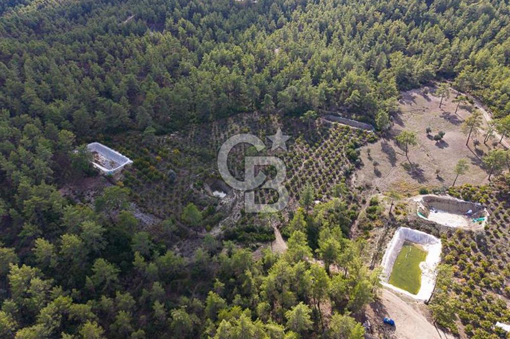 CB ARDENDEN ANTALYA KAŞ ORTABAĞDA 19.188 M2 SATILIK TARLA