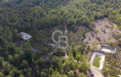 CB ARDENDEN ANTALYA KAŞ ORTABAĞDA 19.188 M2 SATILIK TARLA