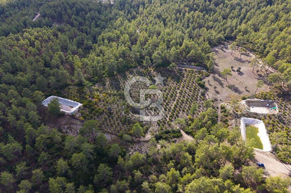 CB ARDENDEN ANTALYA KAŞ ORTABAĞDA 19.188 M2 SATILIK TARLA