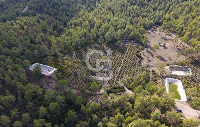CB ARDENDEN ANTALYA KAŞ ORTABAĞDA 19.188 M2 SATILIK TARLA
