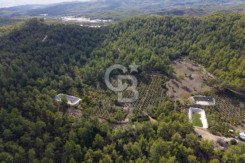 CB ARDENDEN ANTALYA KAŞ ORTABAĞDA 19.188 M2 SATILIK TARLA
