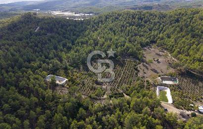CB ARDENDEN ANTALYA KAŞ ORTABAĞDA 19.188 M2 SATILIK TARLA