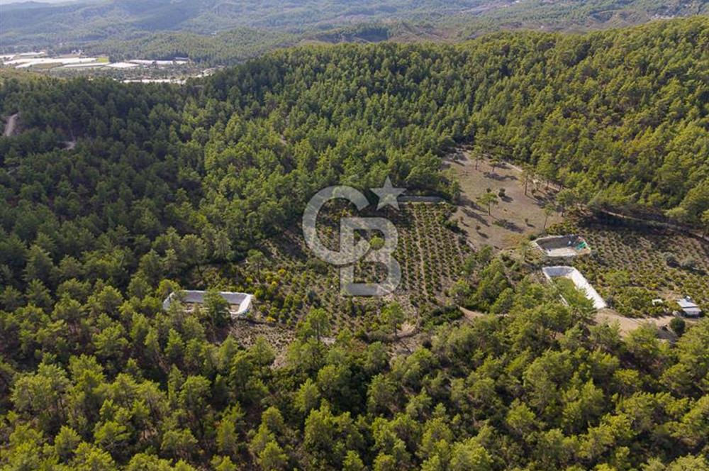 CB ARDENDEN ANTALYA KAŞ ORTABAĞDA 19.188 M2 SATILIK TARLA