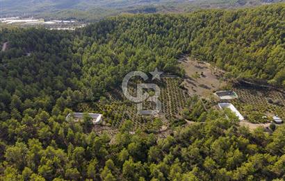 CB ARDENDEN ANTALYA KAŞ ORTABAĞDA 19.188 M2 SATILIK TARLA