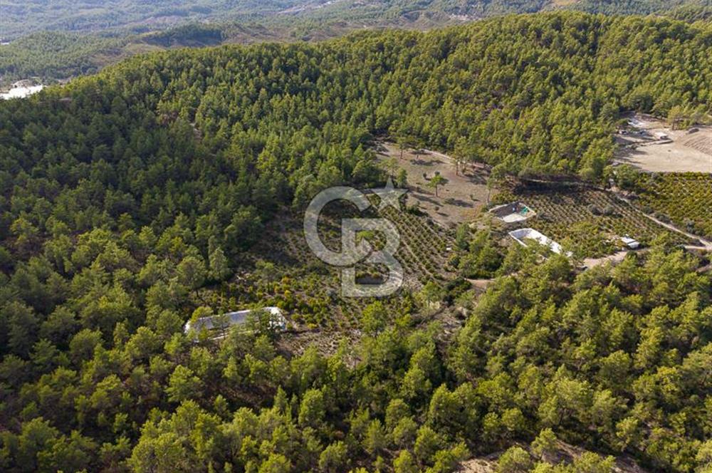 CB ARDENDEN ANTALYA KAŞ ORTABAĞDA 19.188 M2 SATILIK TARLA