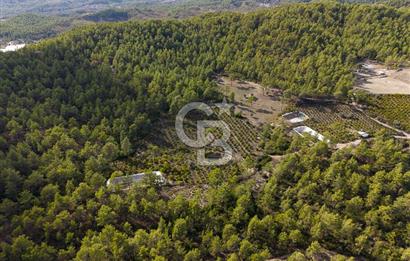 CB ARDENDEN ANTALYA KAŞ ORTABAĞDA 19.188 M2 SATILIK TARLA