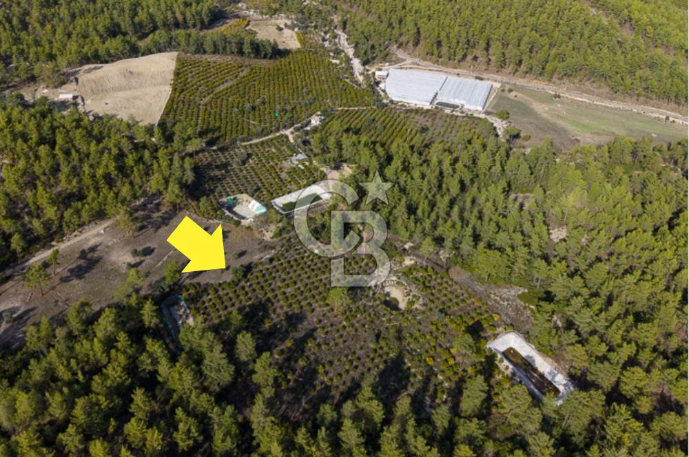 CB ARDENDEN ANTALYA KAŞ ORTABAĞDA 19.188 M2 SATILIK TARLA