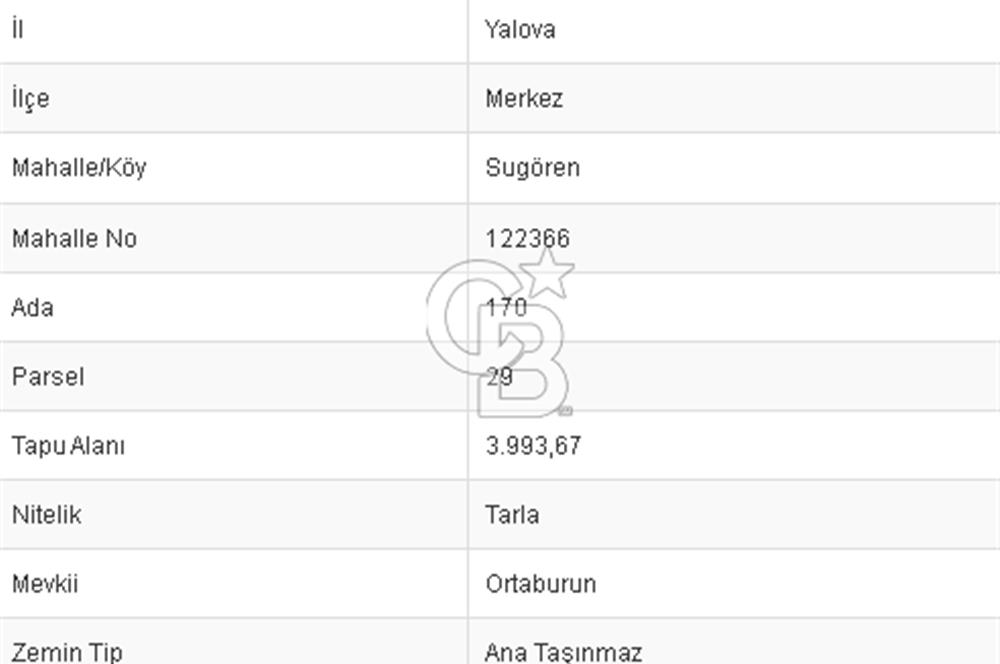 CB BLACK'DEN YALOVA MERKEZ SUGÖREN'DE 3.994 m2 SATILIK TARLA
