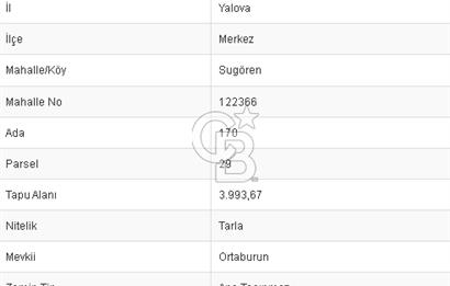 CB BLACK'DEN YALOVA MERKEZ SUGÖREN'DE 3.994 m2 SATILIK TARLA