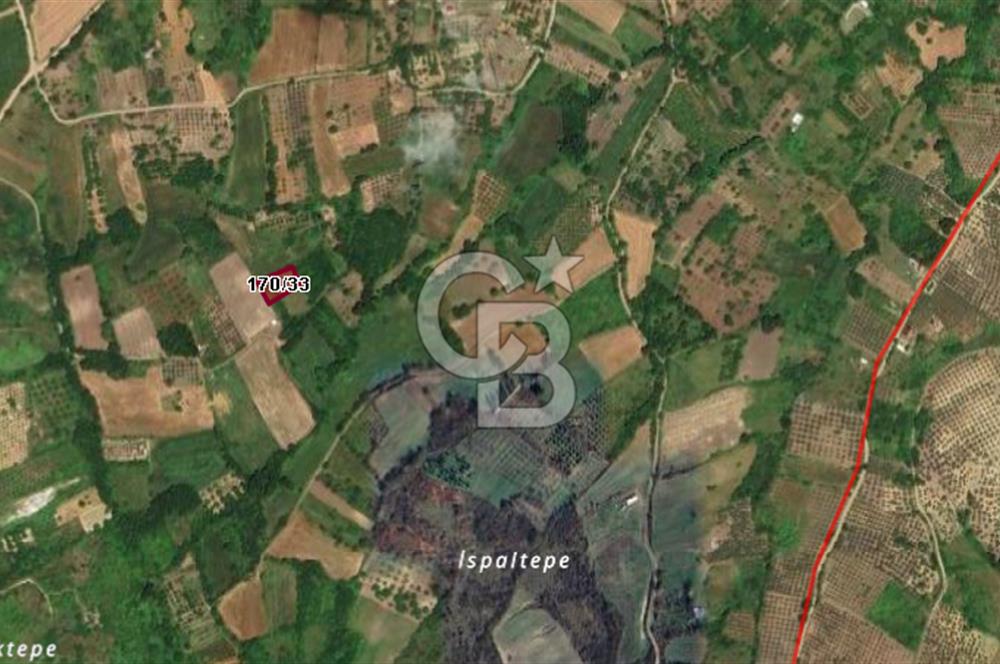 CB BLACK'DEN YALOVA MERKEZ SUGÖREN'DE 1.244 m2 SATILIK TARLA*