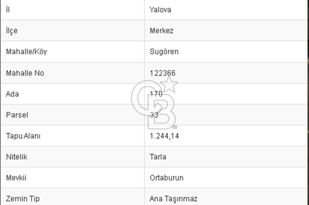 CB BLACK'DEN YALOVA MERKEZ SUGÖREN'DE 1.244 m2 SATILIK TARLA*
