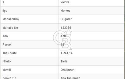 CB BLACK'DEN YALOVA MERKEZ SUGÖREN'DE 1.244 m2 SATILIK TARLA*