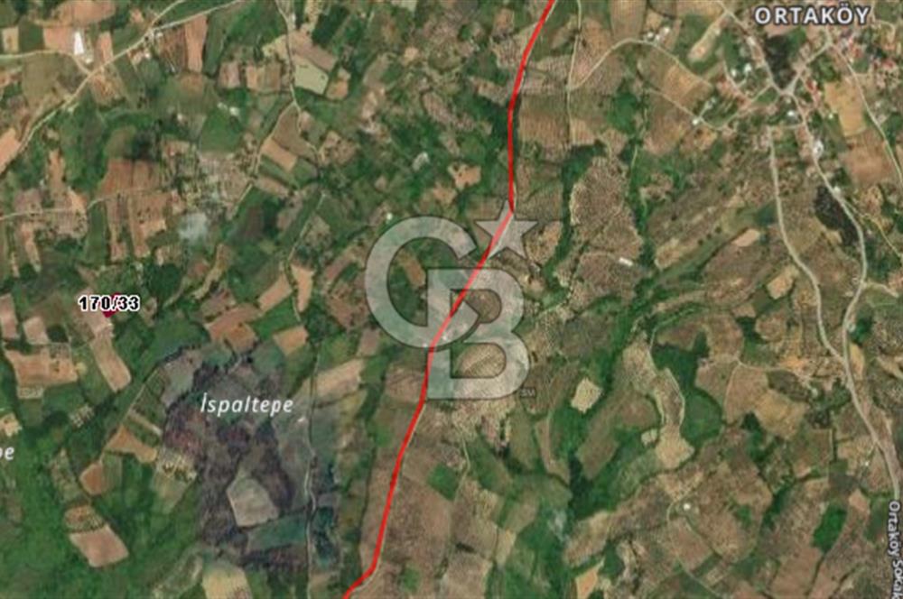 CB BLACK'DEN YALOVA MERKEZ SUGÖREN'DE 1.244 m2 SATILIK TARLA*