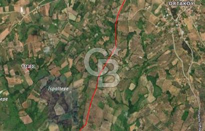CB BLACK'DEN YALOVA MERKEZ SUGÖREN'DE 1.244 m2 SATILIK TARLA*