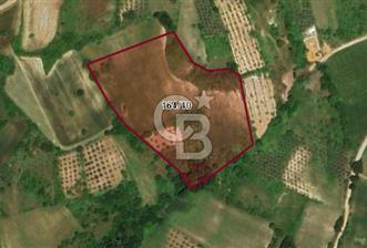 CB BLACK'DEN YALOVA MERKEZ SUGÖREN'DE 26.523 m2 SATILIK TARLA*