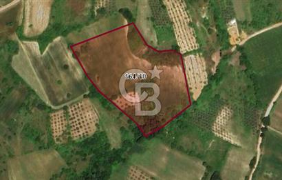 CB BLACK'DEN YALOVA MERKEZ SUGÖREN'DE 26.523 m2 SATILIK TARLA*