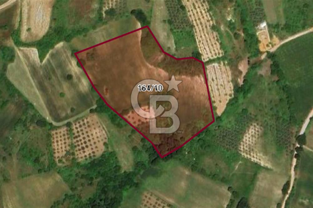 CB BLACK'DEN YALOVA MERKEZ SUGÖREN'DE 26.523 m2 SATILIK TARLA*