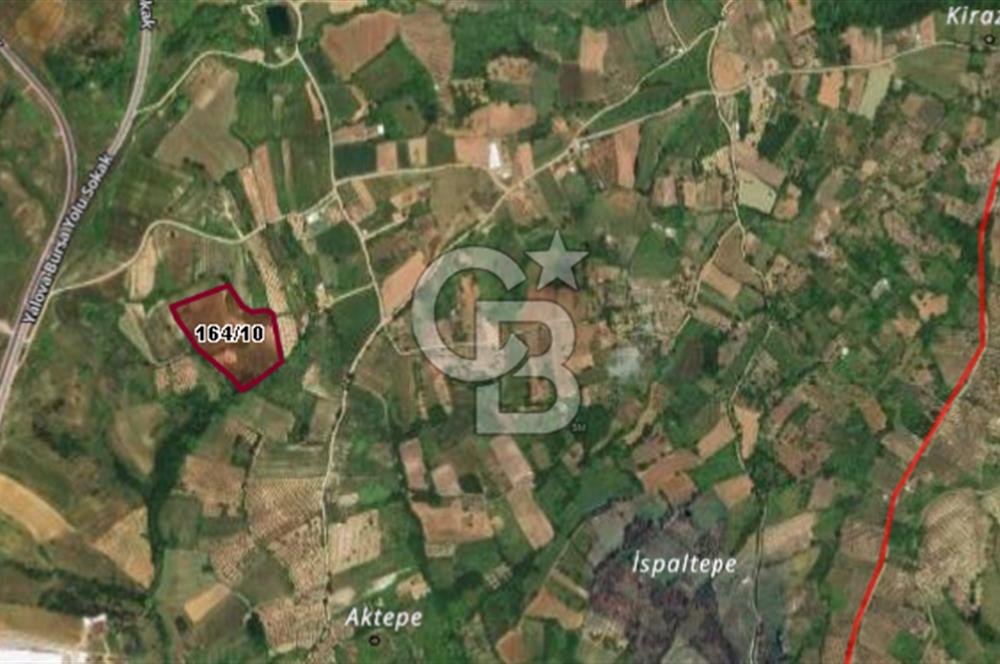 CB BLACK'DEN YALOVA MERKEZ SUGÖREN'DE 26.523 m2 SATILIK TARLA*