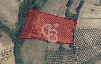 CB BLACK'DEN YALOVA MERKEZ SUGÖREN'DE 14.700 m2 SATILIK TARLA*
