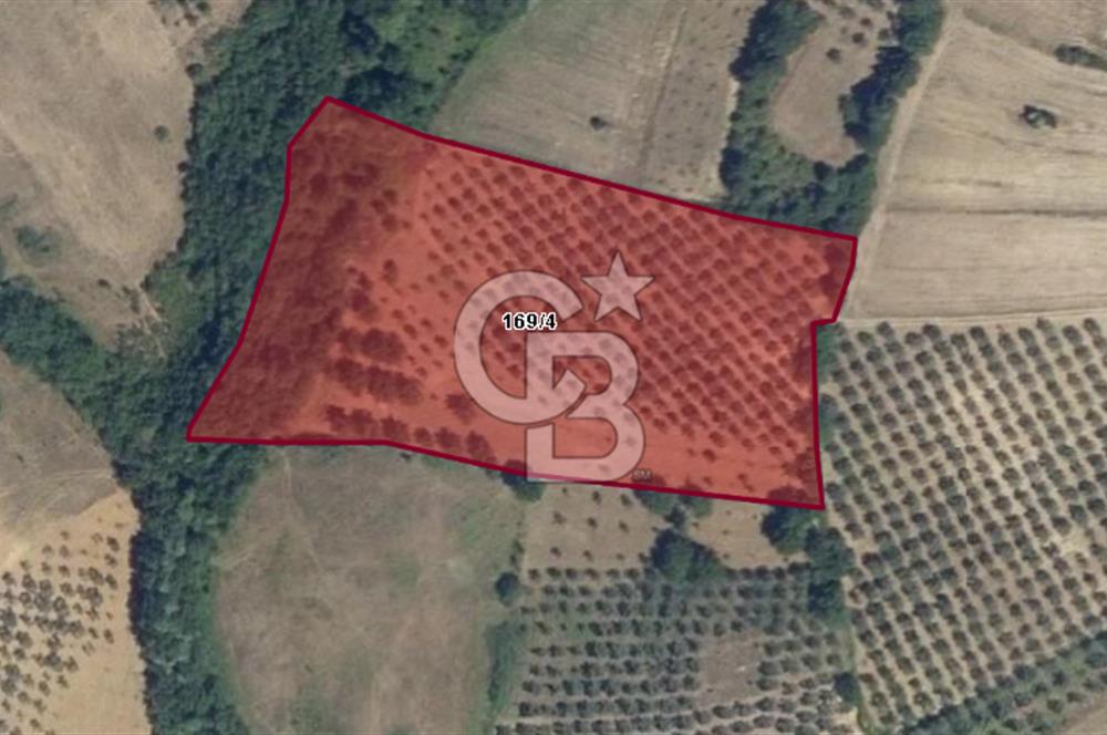 CB BLACK'DEN YALOVA MERKEZ SUGÖREN'DE 14.700 m2 SATILIK TARLA*