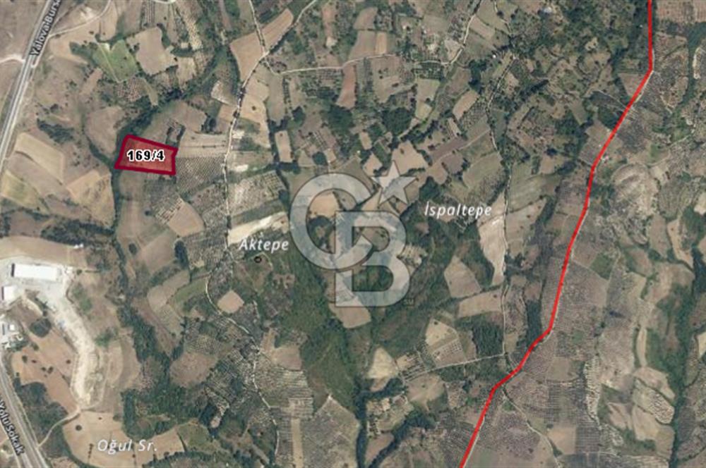 CB BLACK'DEN YALOVA MERKEZ SUGÖREN'DE 14.700 m2 SATILIK TARLA*