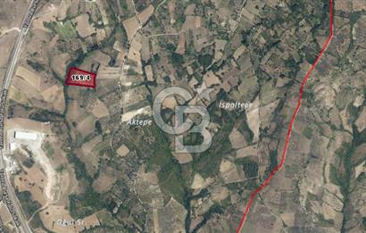 CB BLACK'DEN YALOVA MERKEZ SUGÖREN'DE 14.700 m2 SATILIK TARLA*