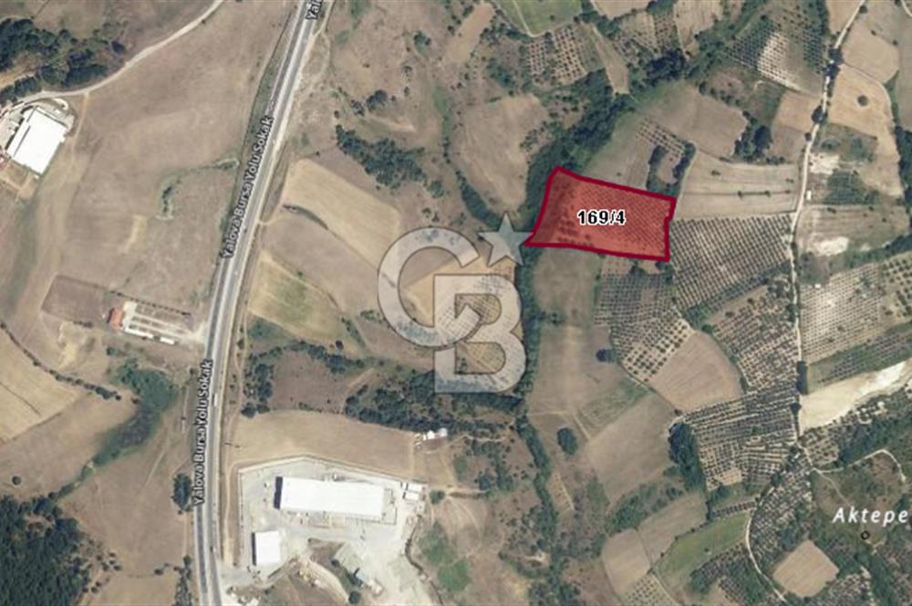 CB BLACK'DEN YALOVA MERKEZ SUGÖREN'DE 14.700 m2 SATILIK TARLA*