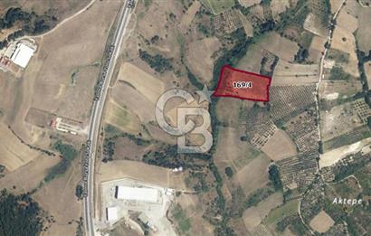 CB BLACK'DEN YALOVA MERKEZ SUGÖREN'DE 14.700 m2 SATILIK TARLA*