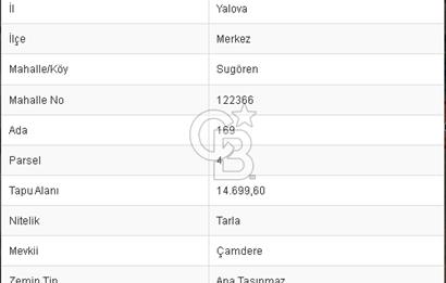 CB BLACK'DEN YALOVA MERKEZ SUGÖREN'DE 14.700 m2 SATILIK TARLA*