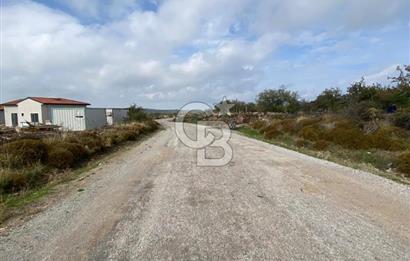 ÇANAKKALE AYVACIK ASSOS KURUOBA KÖYÜNDE 3+1 SATILIK MODERN VİLLA