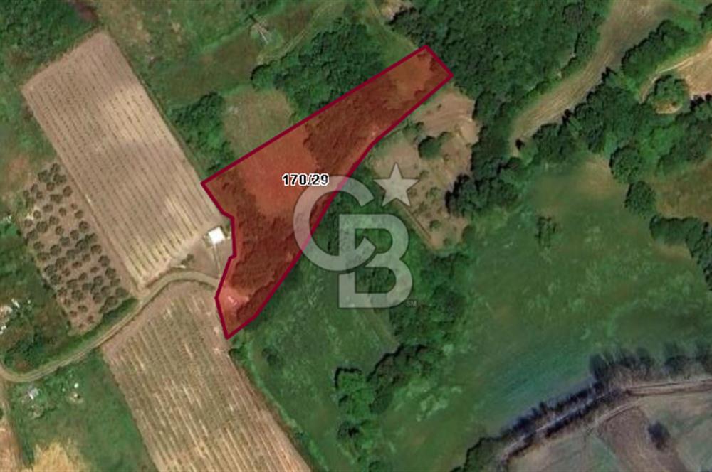 CB BLACK'DEN YALOVA MERKEZ SUGÖREN'DE 3.994 m2 SATILIK TARLA
