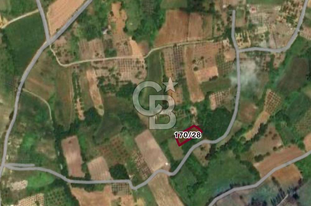 CB BLACK'DEN YALOVA MERKEZ SUGÖREN'DE 1.478 m2 SATILIK TARLA*