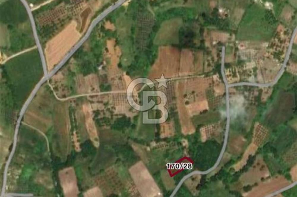 CB BLACK'DEN YALOVA MERKEZ SUGÖREN'DE 1.478 m2 SATILIK TARLA*