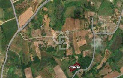 CB BLACK'DEN YALOVA MERKEZ SUGÖREN'DE 1.478 m2 SATILIK TARLA*
