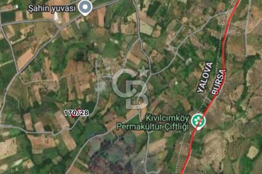 CB BLACK'DEN YALOVA MERKEZ SUGÖREN'DE 1.478 m2 SATILIK TARLA*