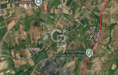 CB BLACK'DEN YALOVA MERKEZ SUGÖREN'DE 1.478 m2 SATILIK TARLA*