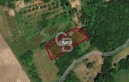 CB BLACK'DEN YALOVA MERKEZ SUGÖREN'DE 1.478 m2 SATILIK TARLA*