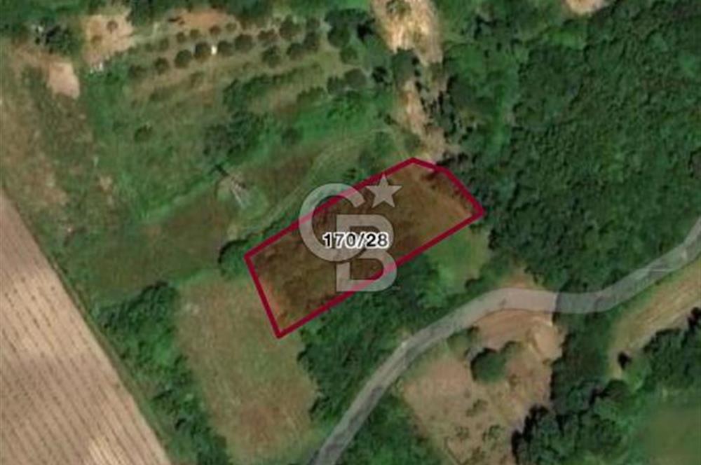 CB BLACK'DEN YALOVA MERKEZ SUGÖREN'DE 1.478 m2 SATILIK TARLA*