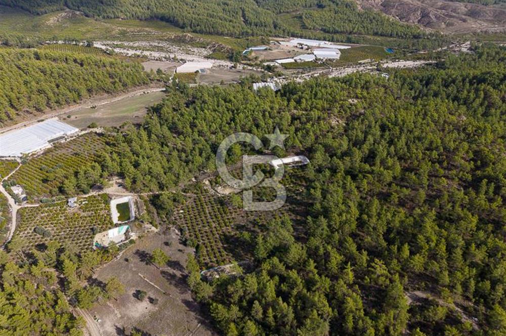CB ARDENDEN ANTALYA KAŞ ORTABAĞDA 19.188 M2 SATILIK TARLA