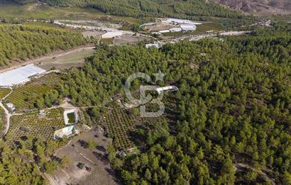 CB ARDENDEN ANTALYA KAŞ ORTABAĞDA 19.188 M2 SATILIK TARLA