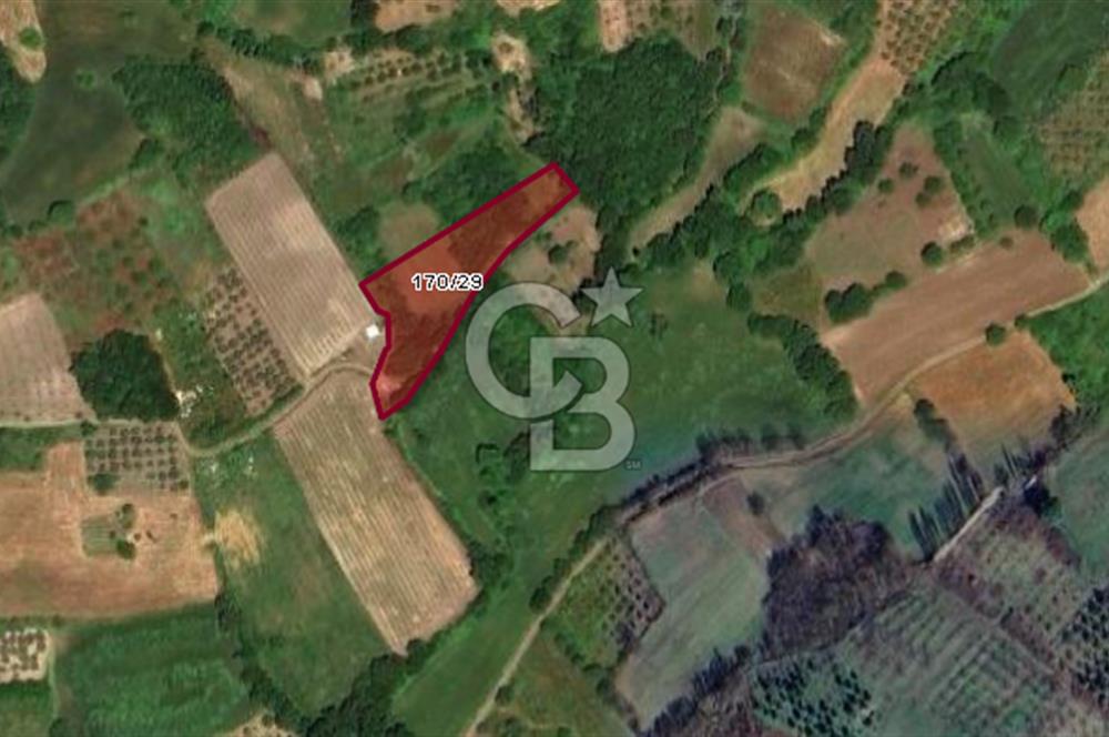 CB BLACK'DEN YALOVA MERKEZ SUGÖREN'DE 3.994 m2 SATILIK TARLA