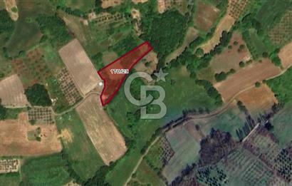 CB BLACK'DEN YALOVA MERKEZ SUGÖREN'DE 3.994 m2 SATILIK TARLA