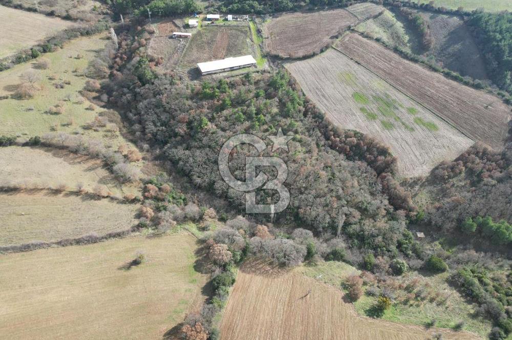 Bayramiç Bıyıklıda 10600 m² Yatırımlık Arazi