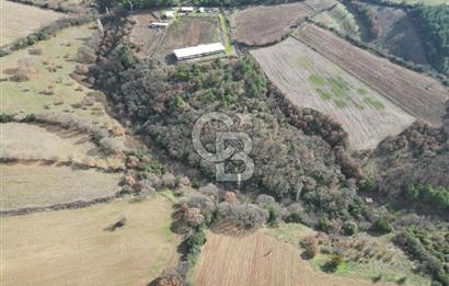 Bayramiç Bıyıklıda 10600 m² Yatırımlık Arazi