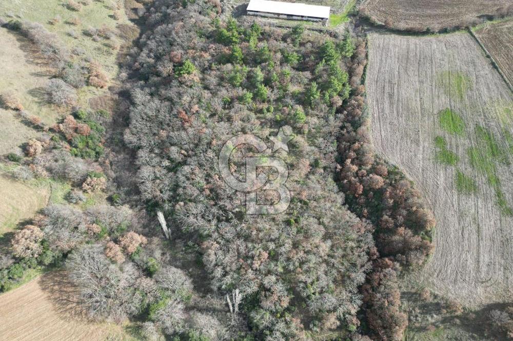 Bayramiç Bıyıklıda 10600 m² Yatırımlık Arazi