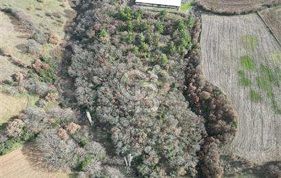 Bayramiç Bıyıklıda 10600 m² Yatırımlık Arazi