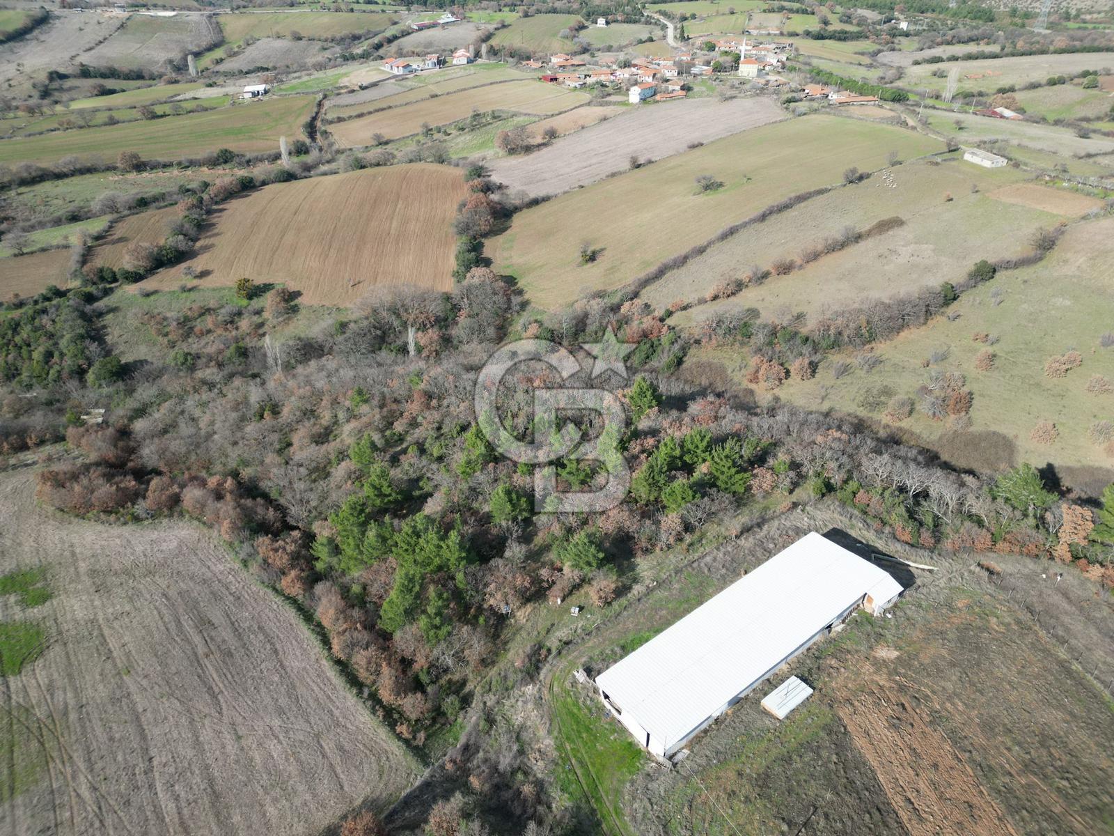 Bayramiç Bıyıklıda 10600 m² Yatırımlık Arazi