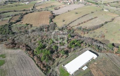 Bayramiç Bıyıklıda 10600 m² Yatırımlık Arazi