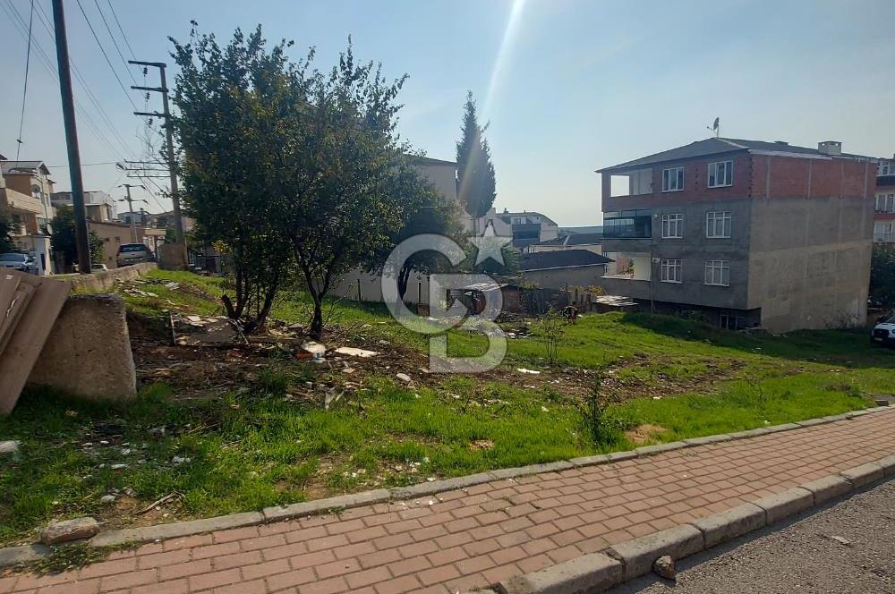 ÇAYIROVA YENİMAHALLEDE 590 M² KÖŞE PARSEL KONUT İMARLI ARSA